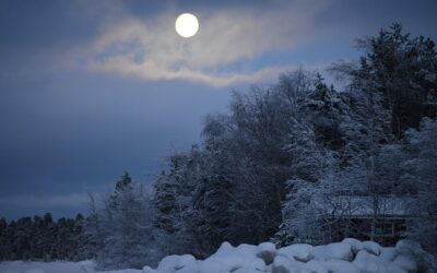In the Garden: March “Snow-crusted moon” (Onaabdin-giizis)